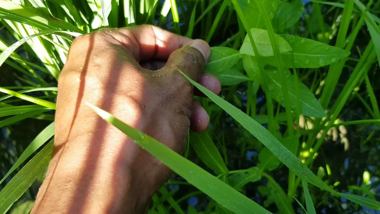 VideoCapture_20220728-214439.jpg