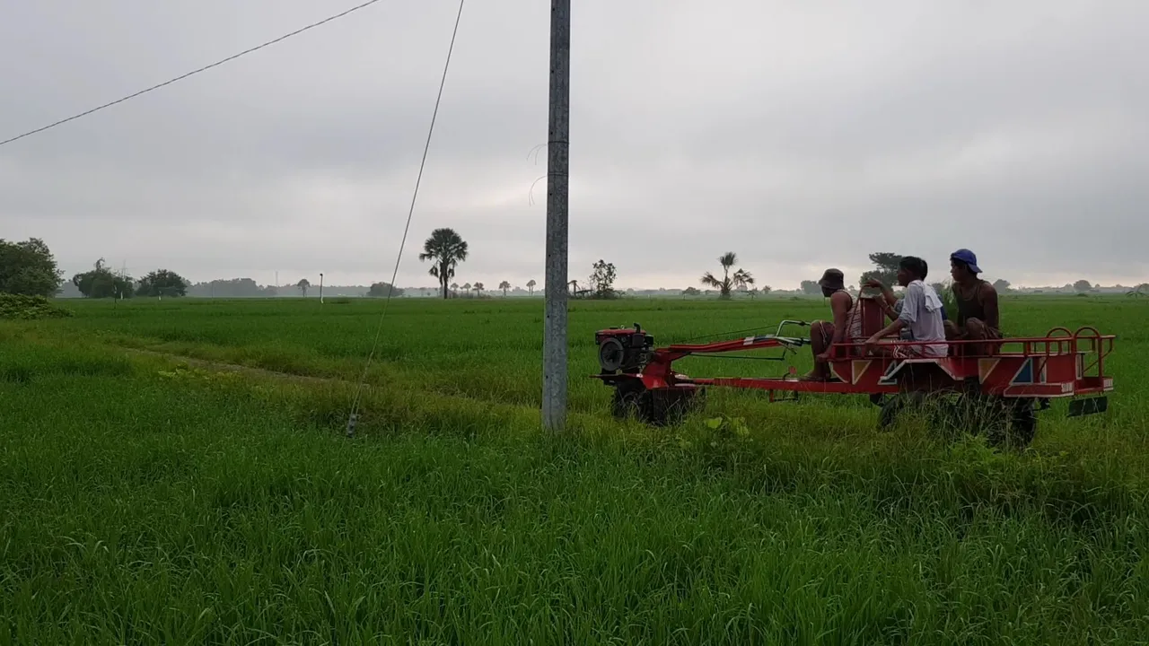 VideoCapture_20220801-172928.jpg