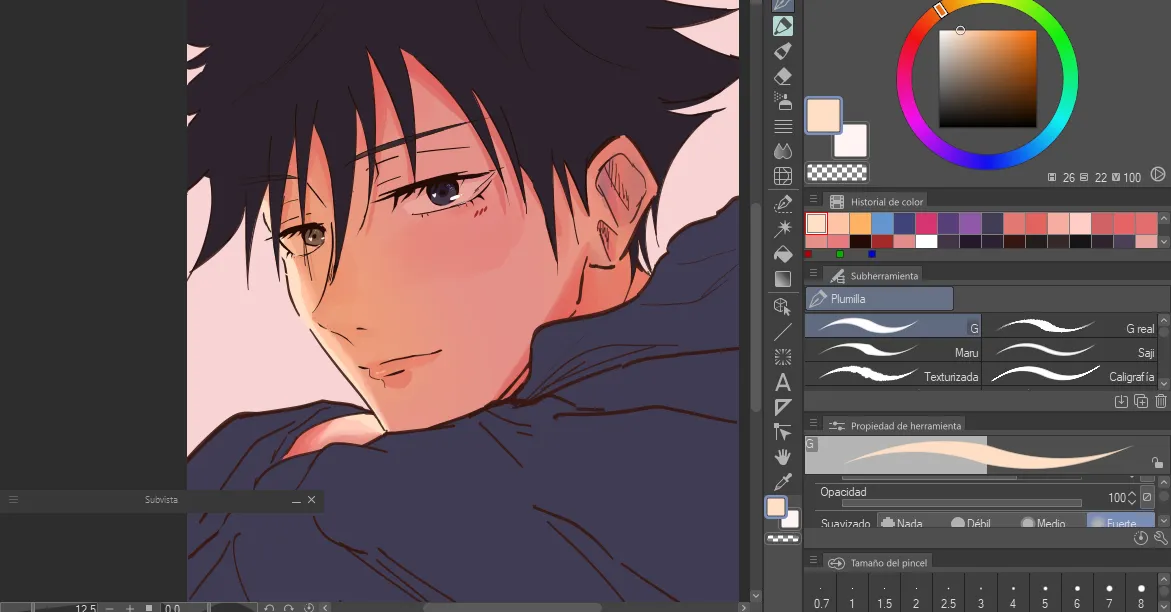 piel.png