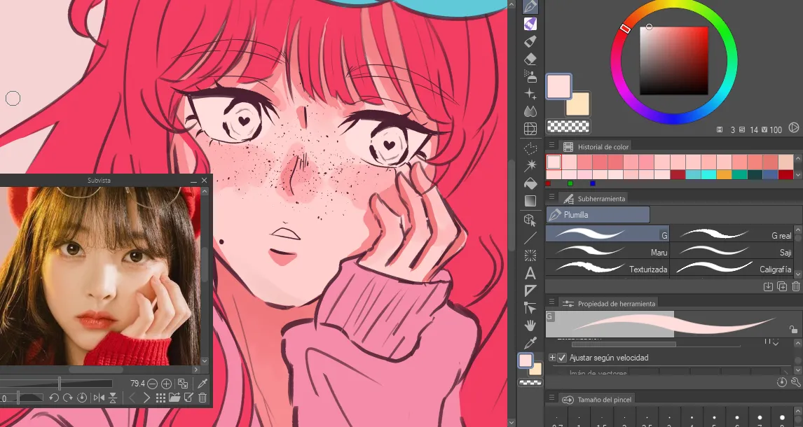 pintadn piel.png