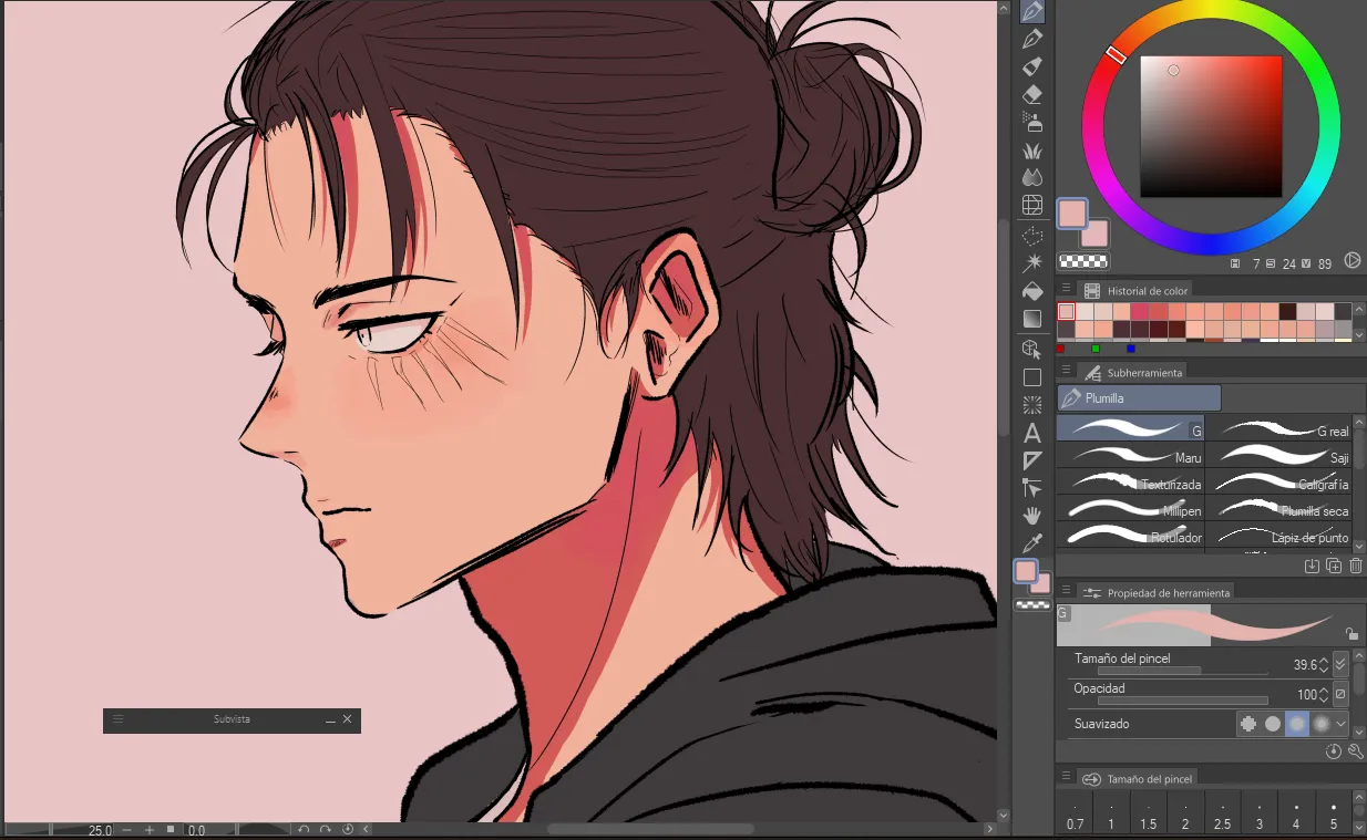 piel (2).png