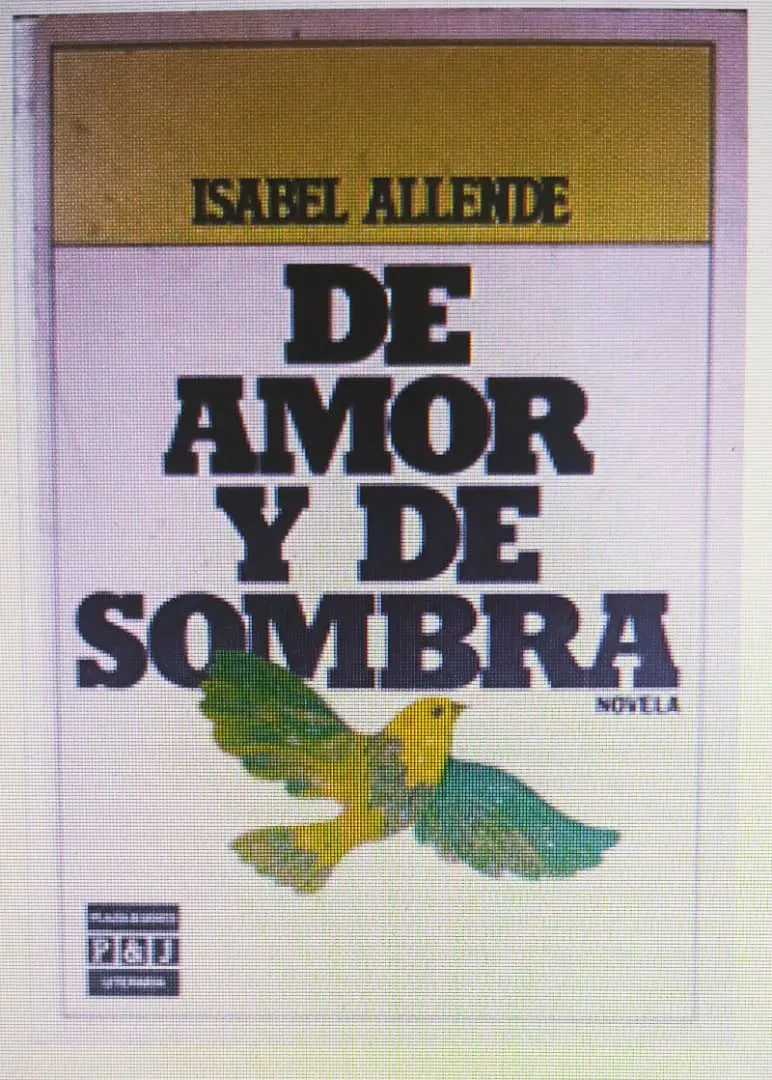 Isabel Allende De Amor y de Sombras.jpeg