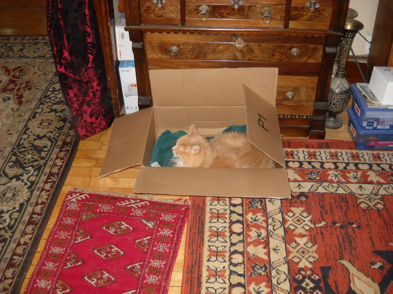 DSCN6967.JPG