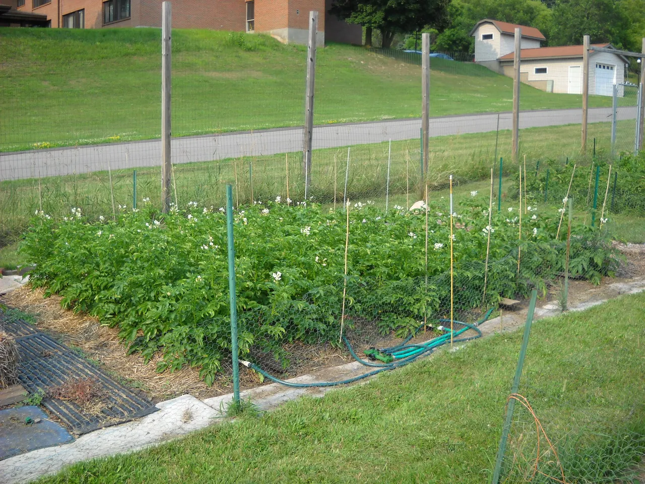 DSCN5237.JPG