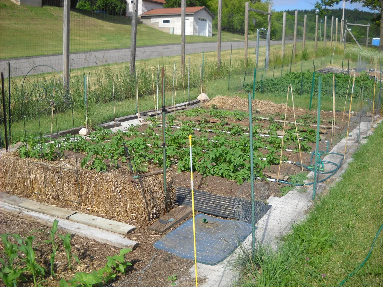 DSCN5086.JPG