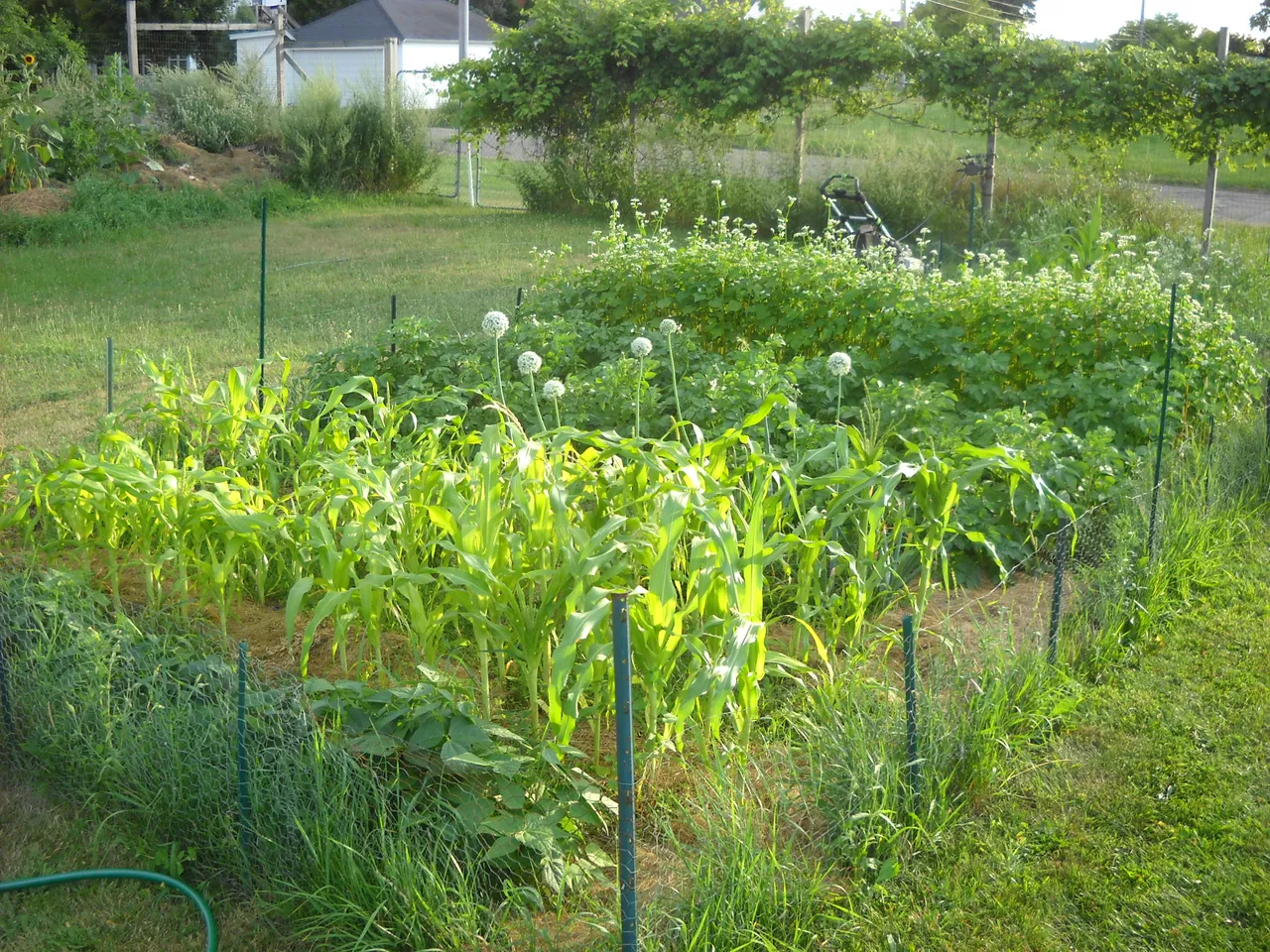 DSCN6677.JPG