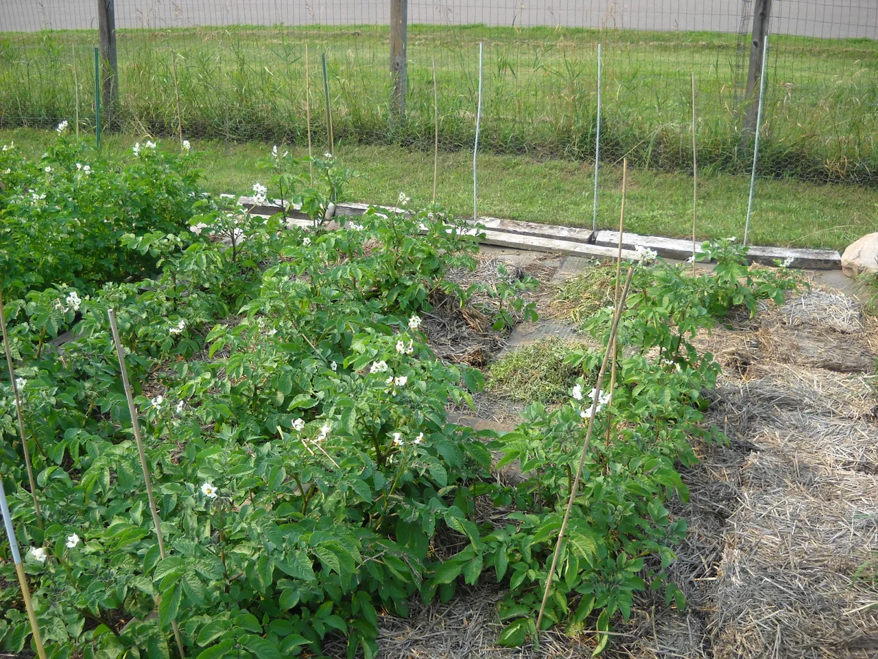 DSCN5238.JPG