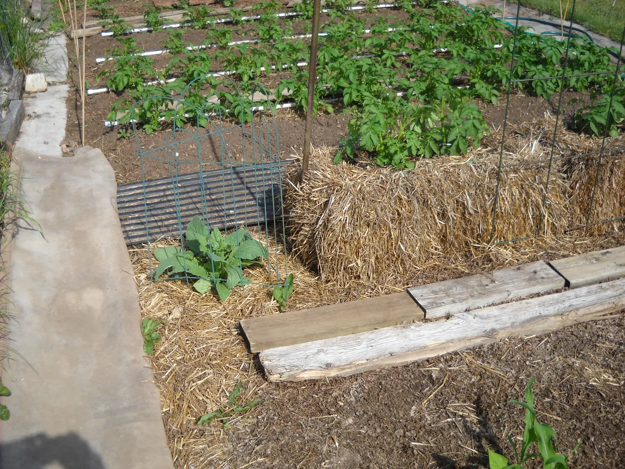 DSCN5093.JPG