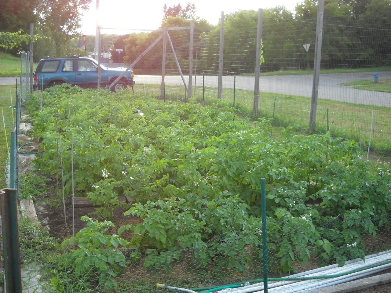 DSCN6676.JPG