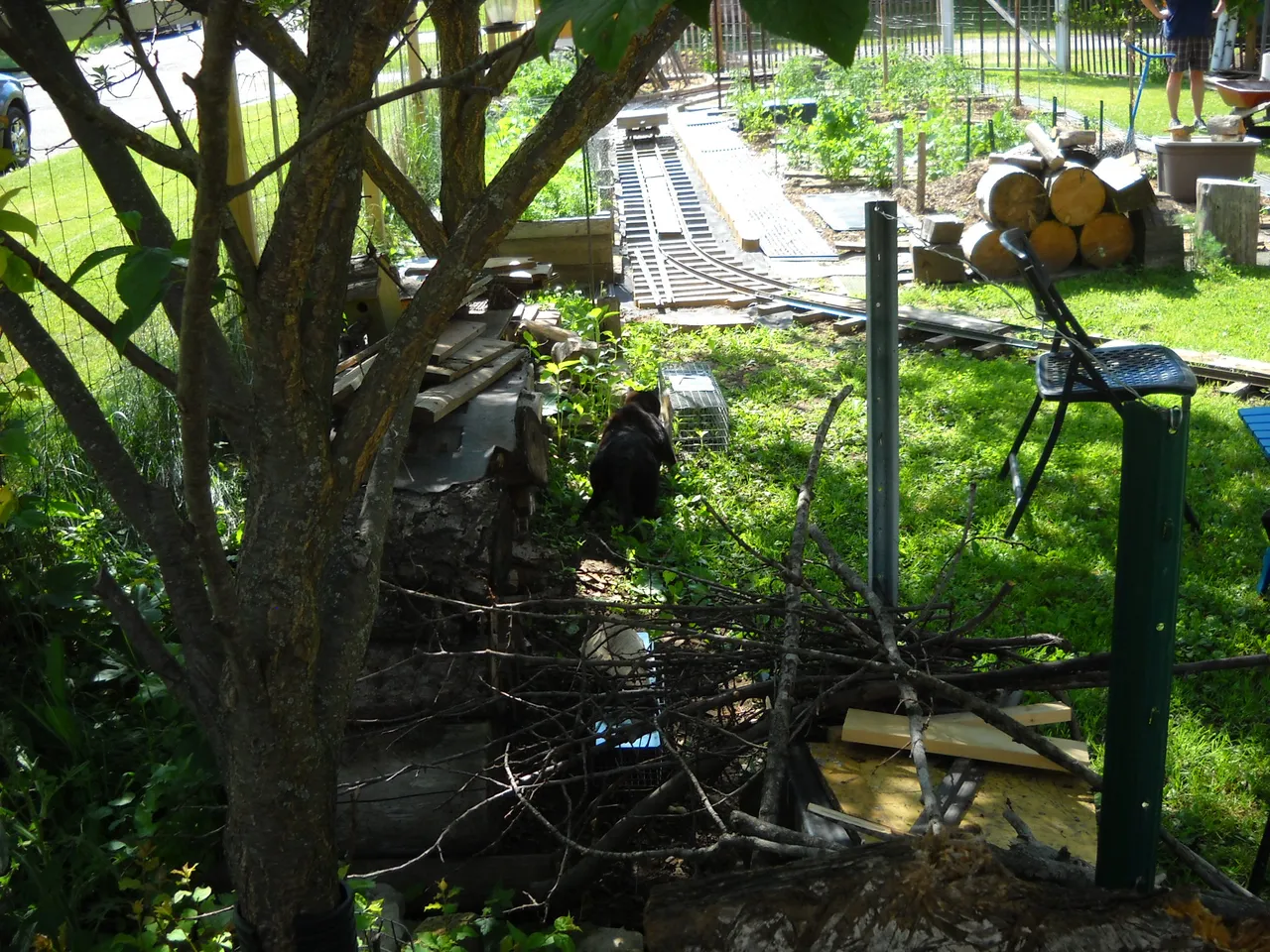 DSCN5078.JPG