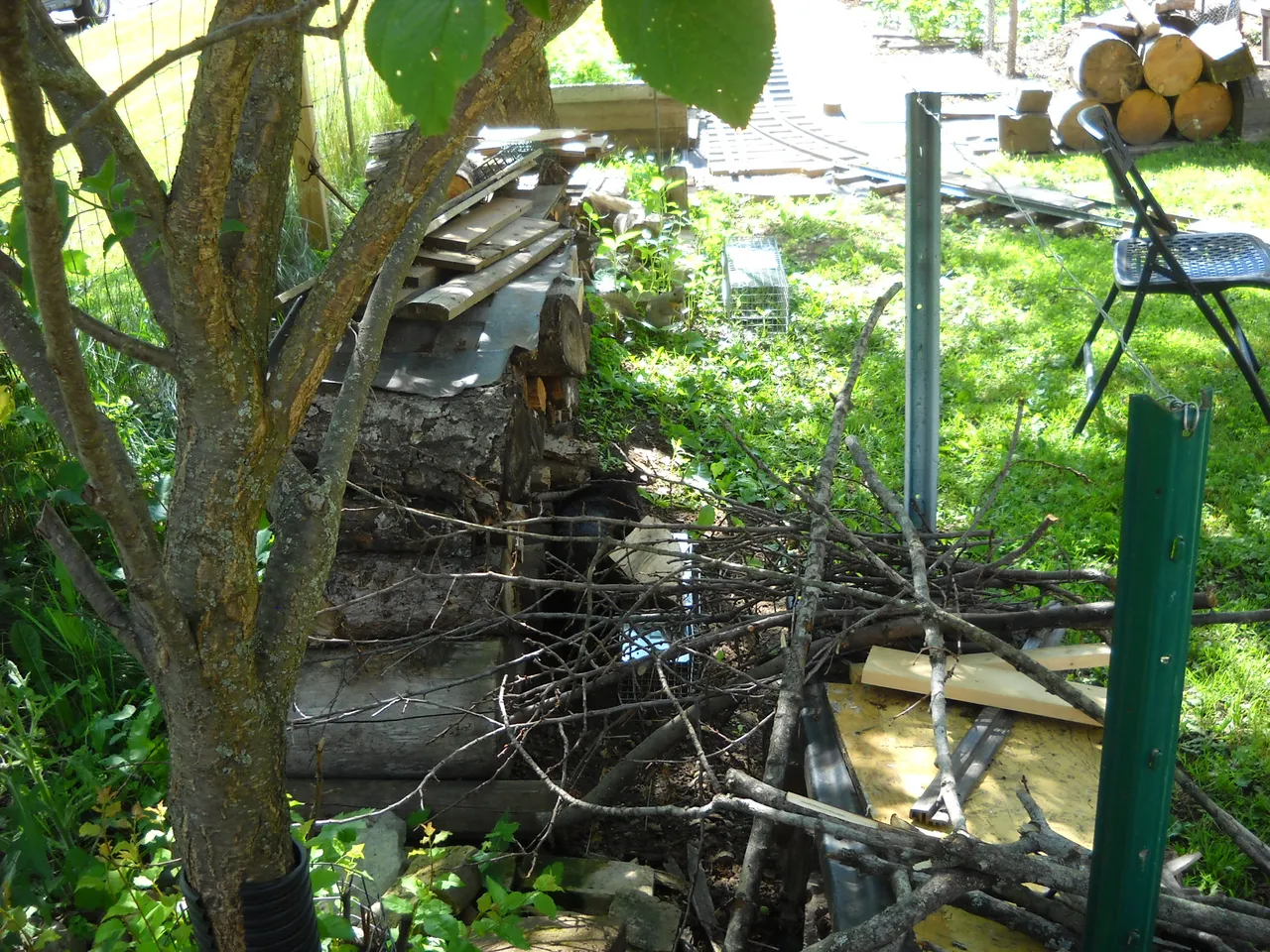DSCN5073.JPG