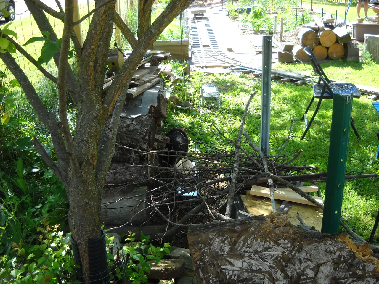 DSCN5077.JPG