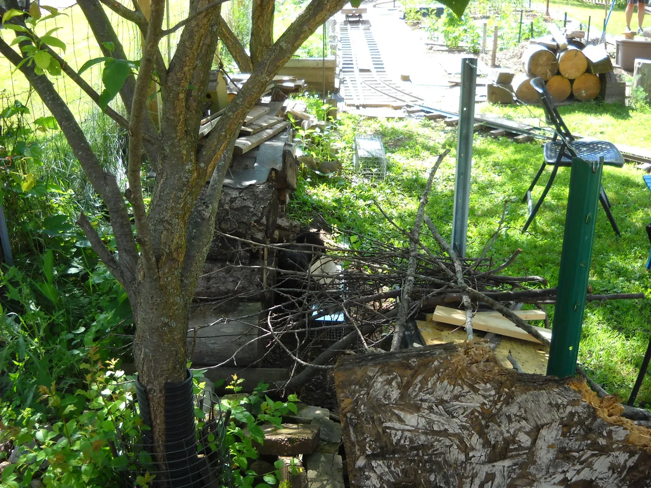 DSCN5075.JPG
