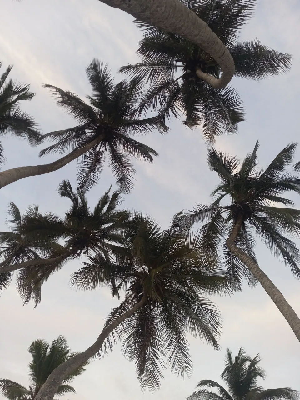 20250504_182512.jpg