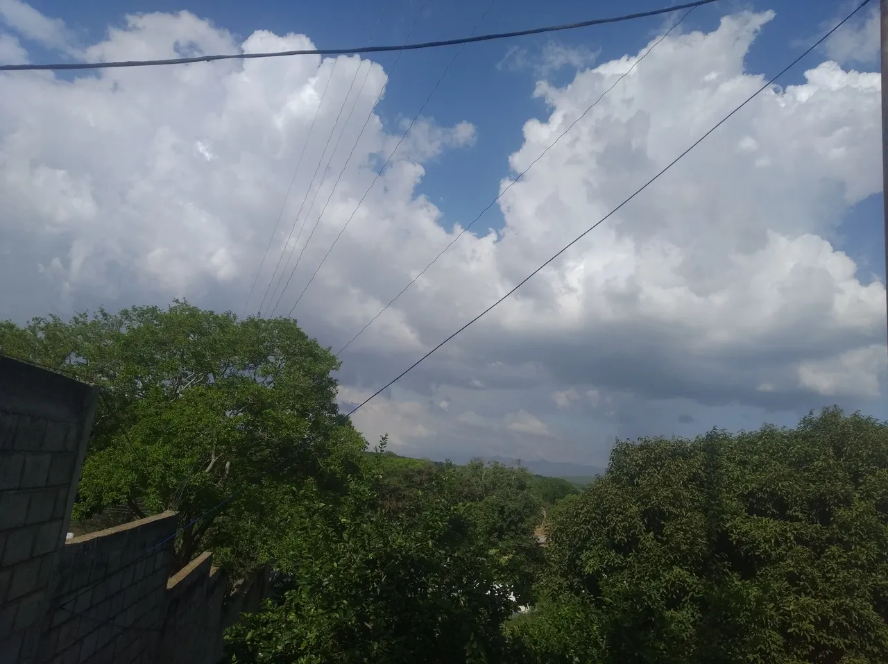 IMG_20220504_160739.jpg