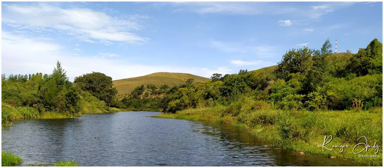 Ranger Andy South Africa River Scene Reduced.jpg