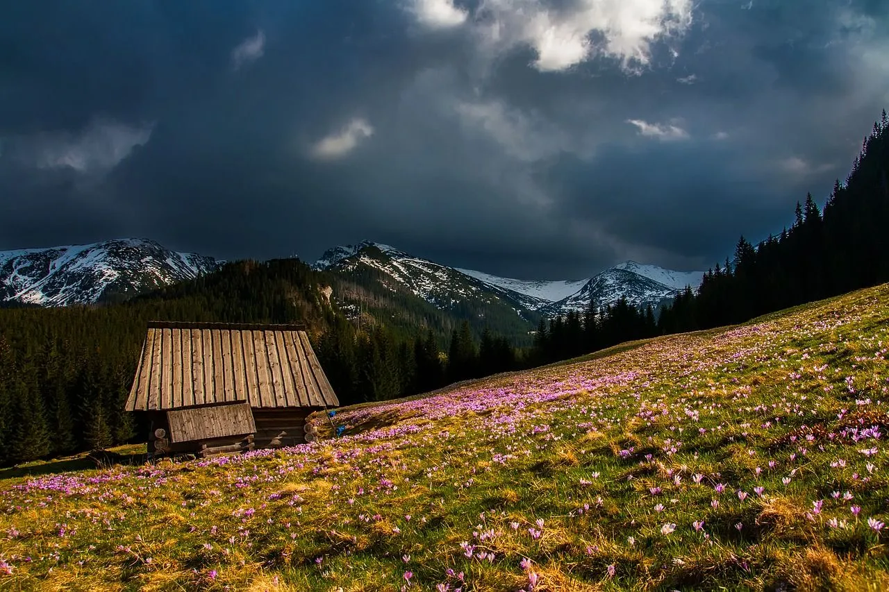 mountains-2154198_1280.jpg