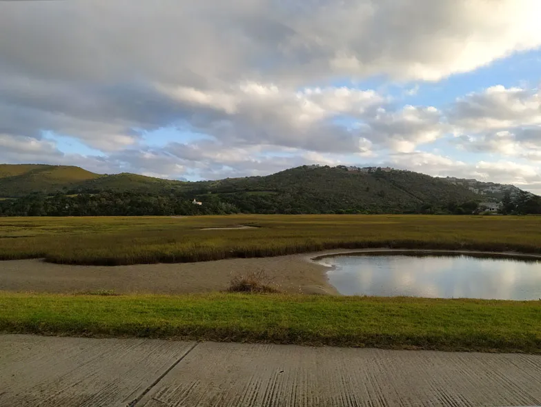 Knysna Marshland.jpg