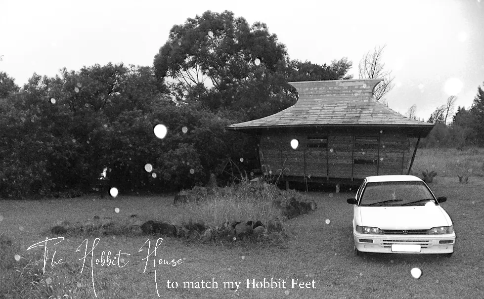 Hobbit House1.png