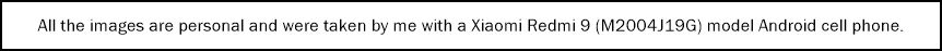 android 2.png