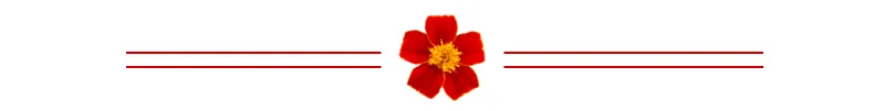 flor roja.png