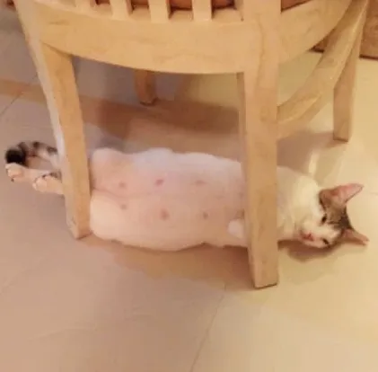 5.jpg