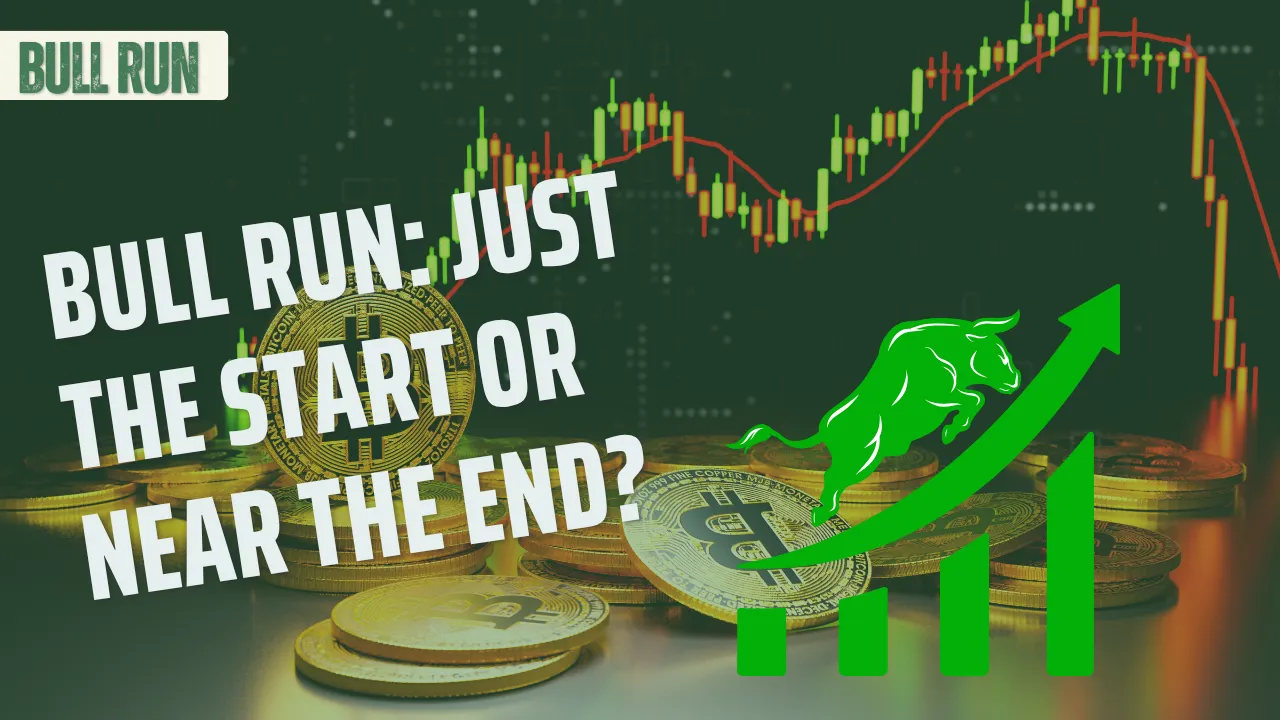 Bull run.png
