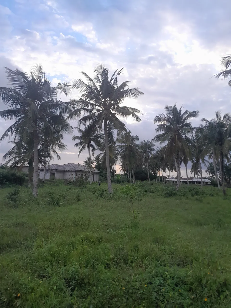20230917_182358.jpg