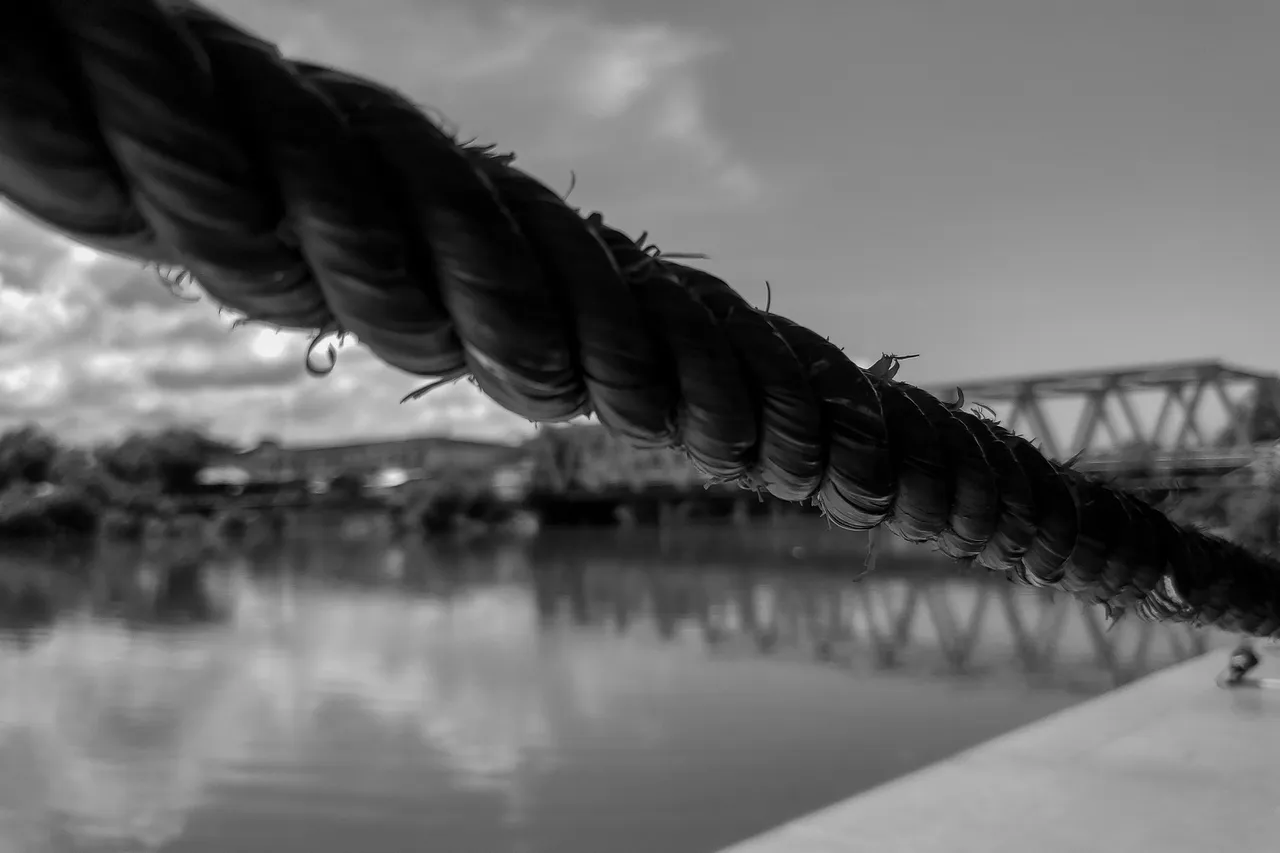 20220309_130805 ++.jpg