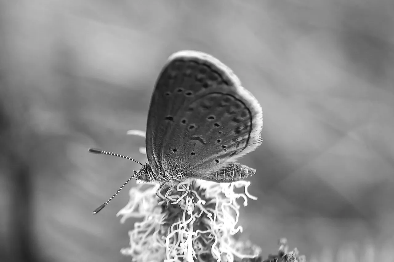 20211124_170532+.jpg