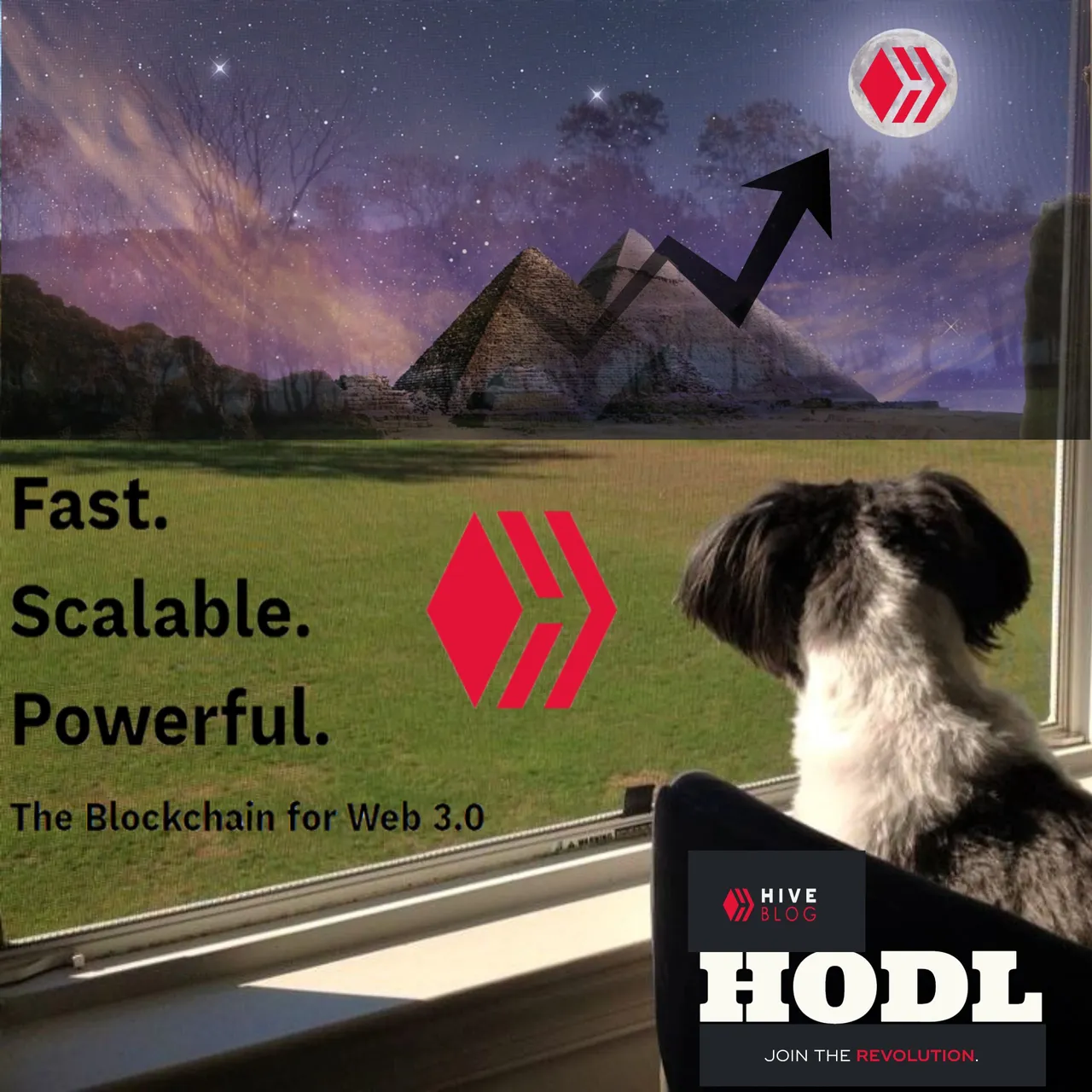 HODL_HIVE Pepper.png