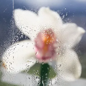2VZXybTSZJq1EFEMqZ2iEs7VKxvmFVY6eLE22jxtvUD9ojf1SpbeBSeVfisyh8vC5b1SHxQ7vXzMhDkwQaLFApjxJQvAPyB9FVp2tLJPuH1dnJRzP4w7VTmRCMDpMCDy65Gowi8gckxkdRYUUuQKpWbUGJz.jpg