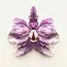 small orchid divider_020938484.jpg