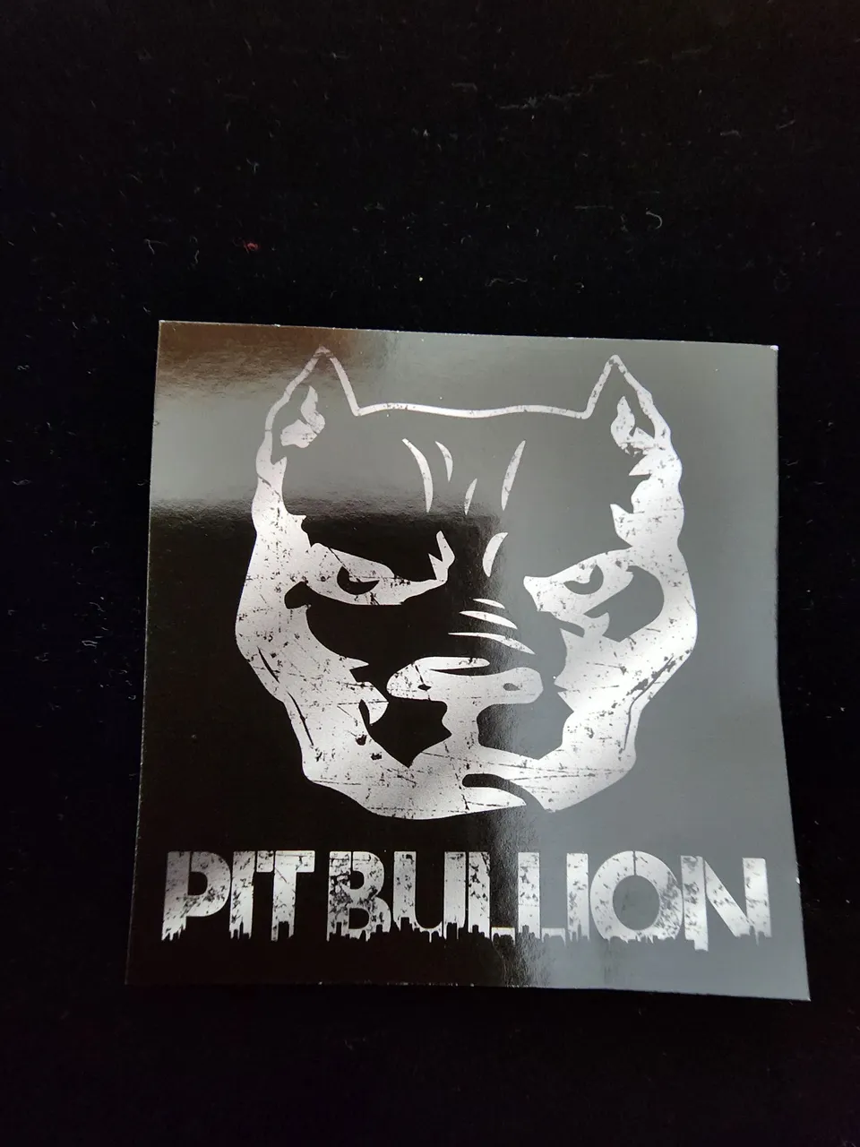 pitbullion.jpg