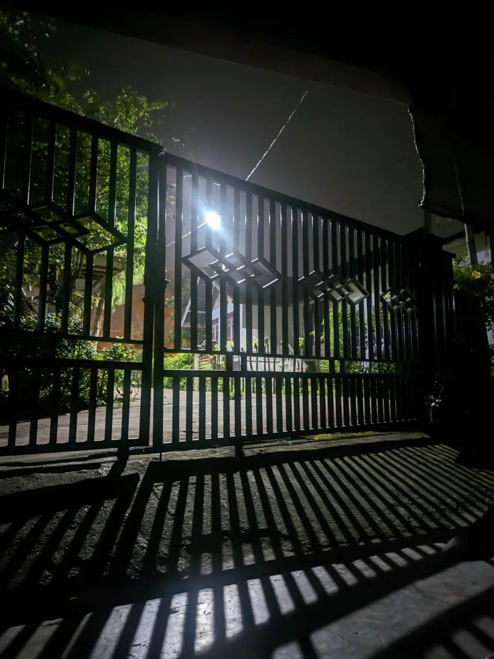 AGC_20231204_203958215.NIGHT.jpg