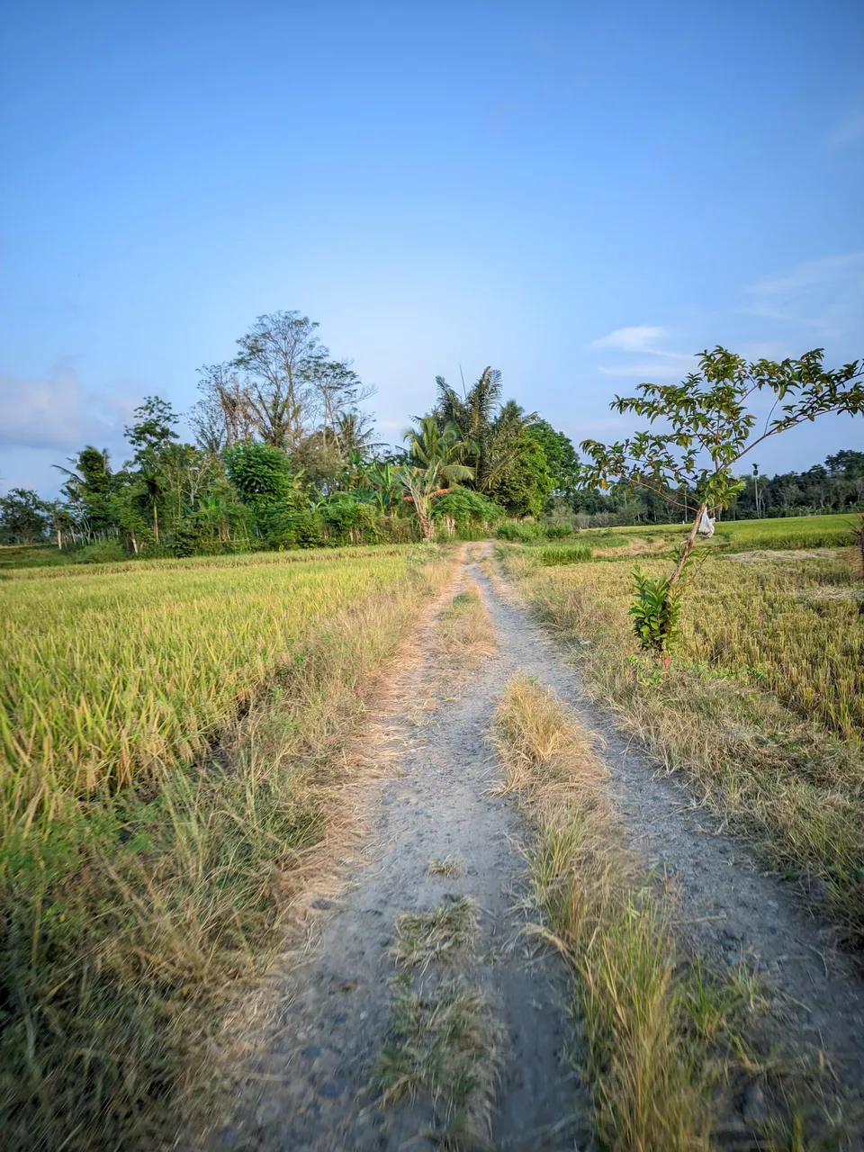 ©Seputar Gcam20240210_181347_📍Iphone 16 HDR LMC📍Format YUV.jpg