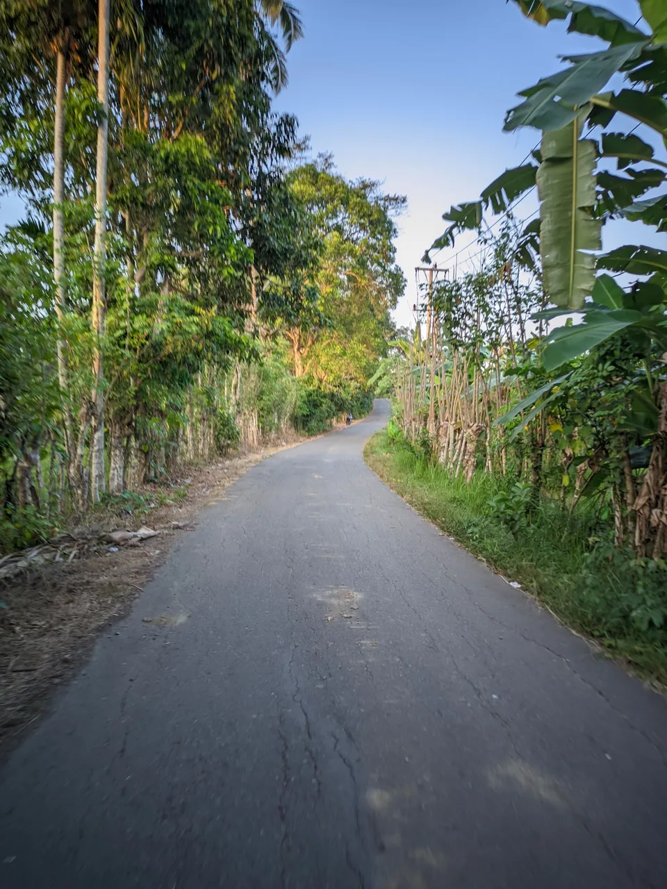 ©Seputar Gcam20240210_181214_📍Iphone 16 HDR LMC📍Format YUV.jpg