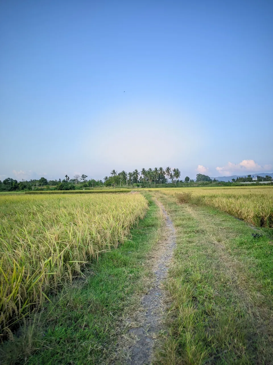 ©Seputar Gcam20240210_181527_📍Iphone 16 HDR LMC📍Format YUV.jpg