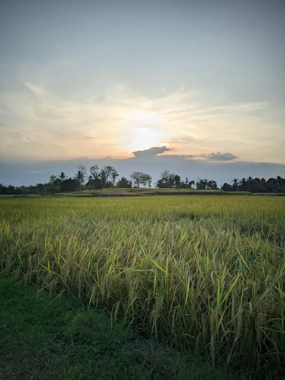 ©Seputar Gcam20240210_181609_📍Iphone 16 HDR LMC📍Format YUV.jpg