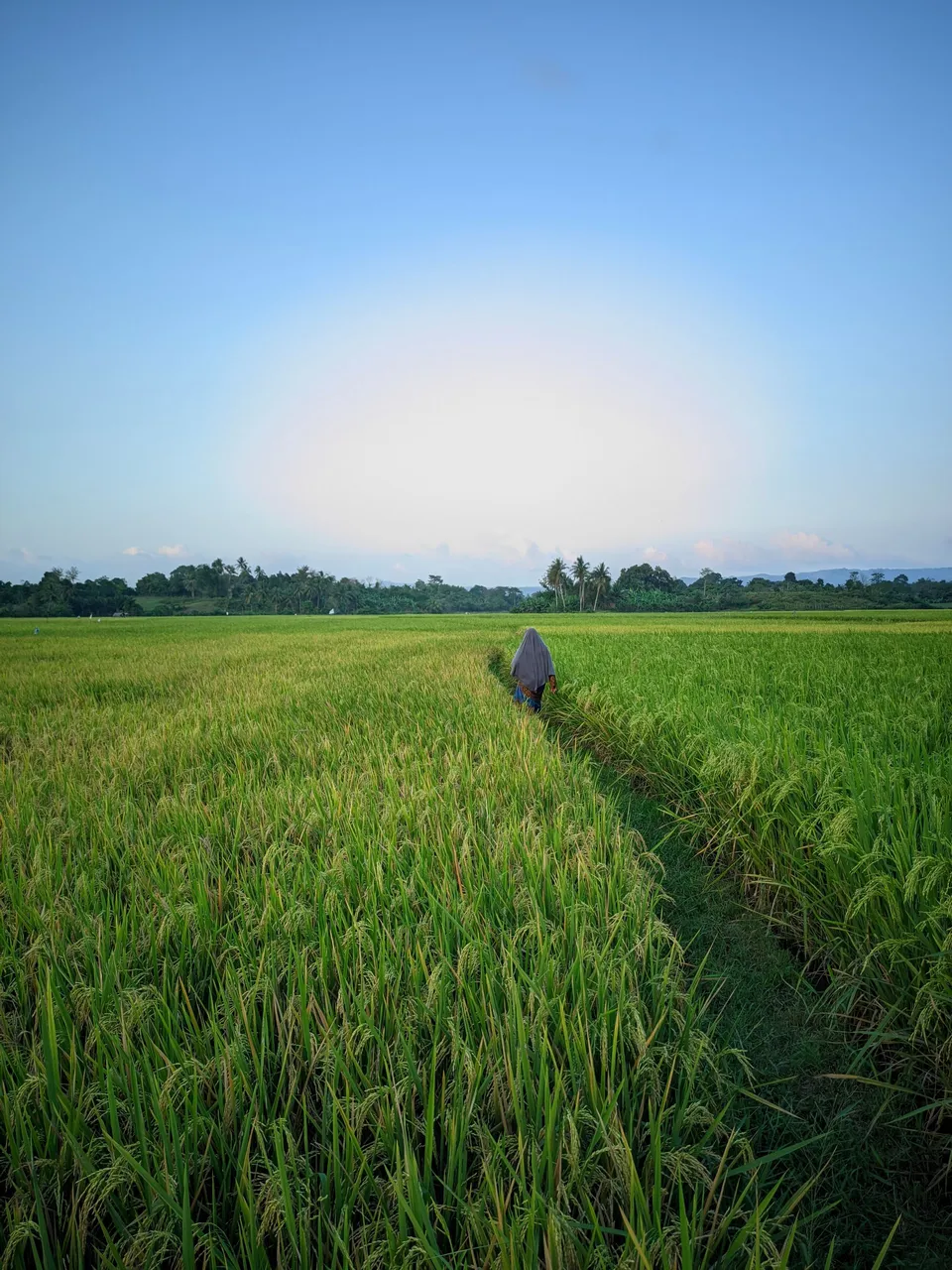 ©Seputar Gcam20240210_182326_📍Iphone 16 HDR LMC📍Format YUV.jpg