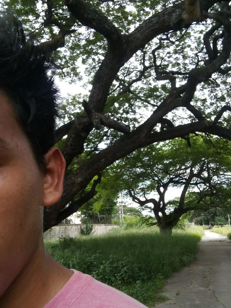 IMG_20250718_164741_731.jpg