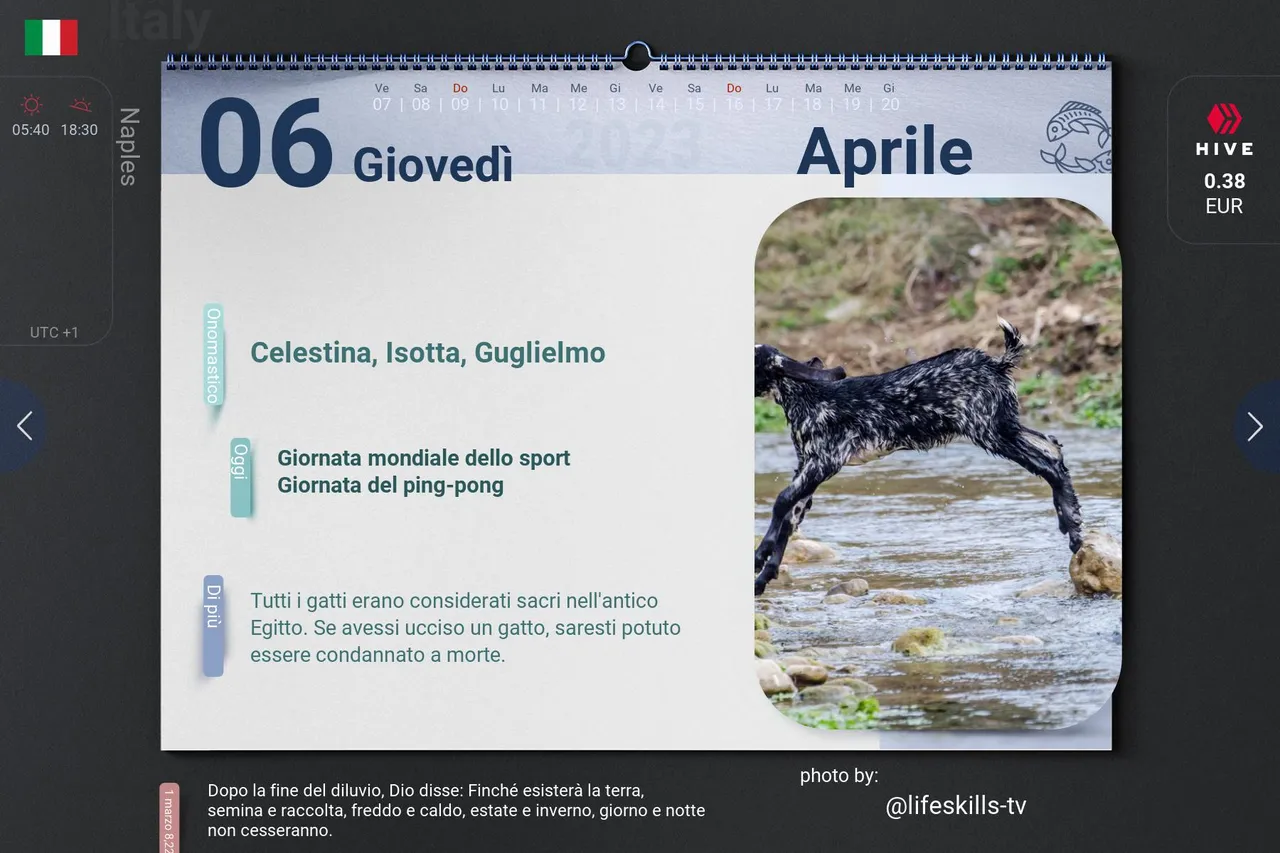 4_2023-04-06_it.jpg