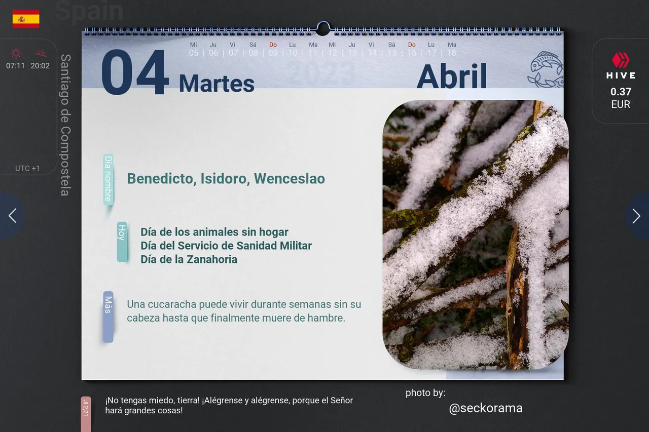7_2023-04-04_es.jpg