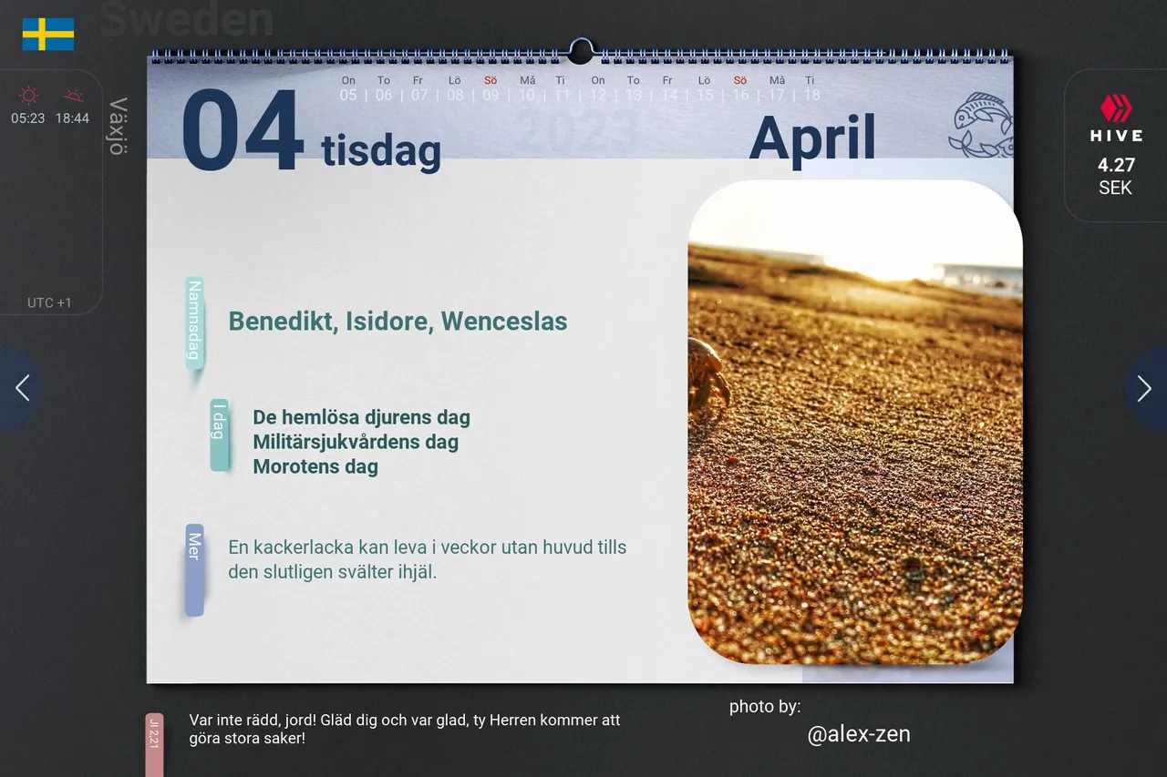 13_2023-04-04_se.jpg