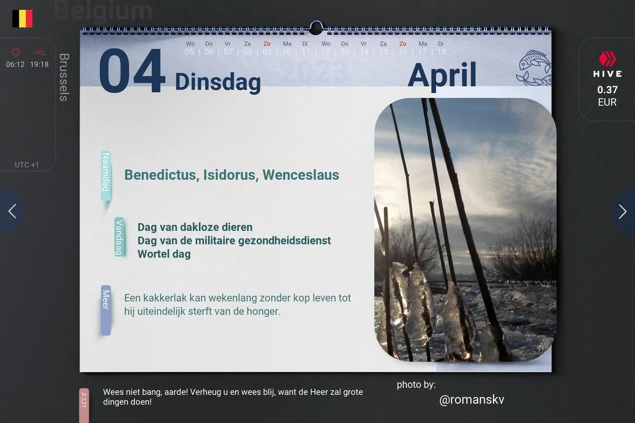 10_2023-04-04_be.jpg