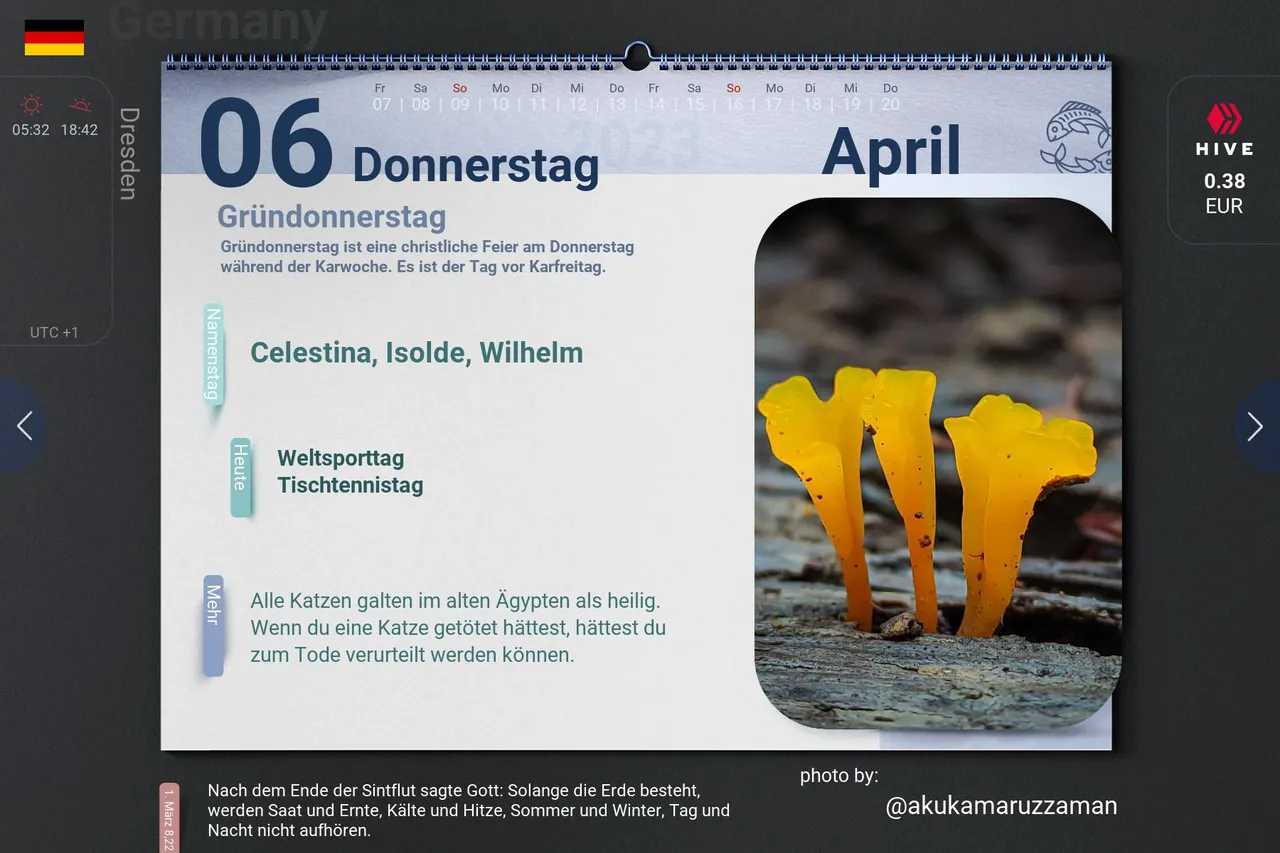 3_2023-04-06_de.jpg