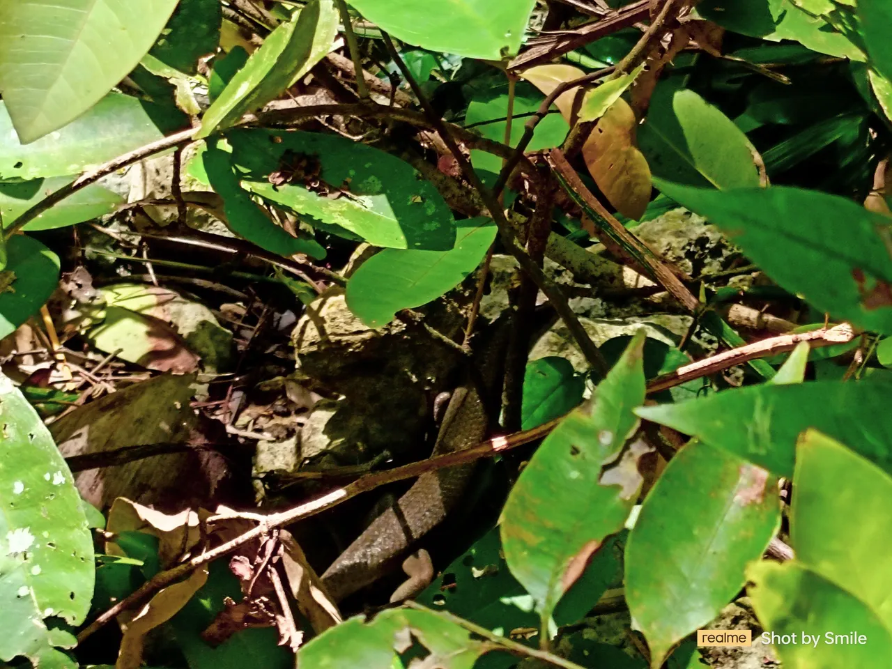 IMG20230726140007.jpg
