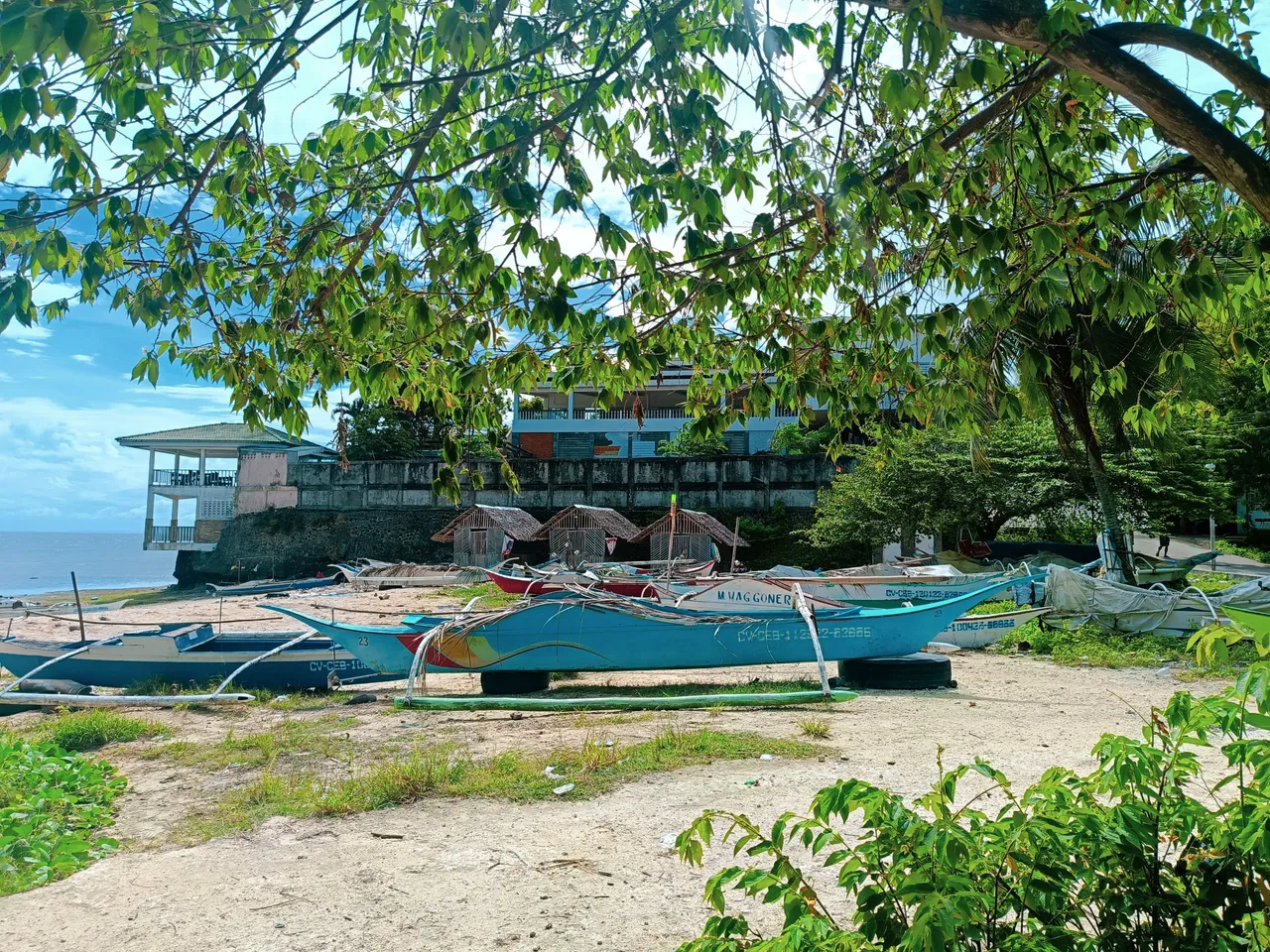 IMG20231202104403.jpg