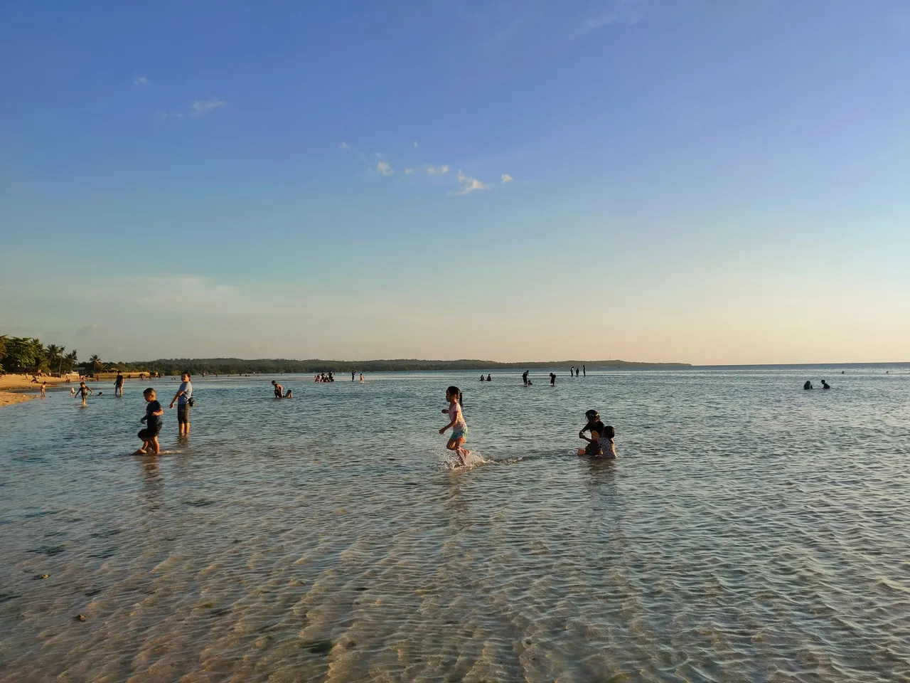 IMG_20230319_130931.jpg