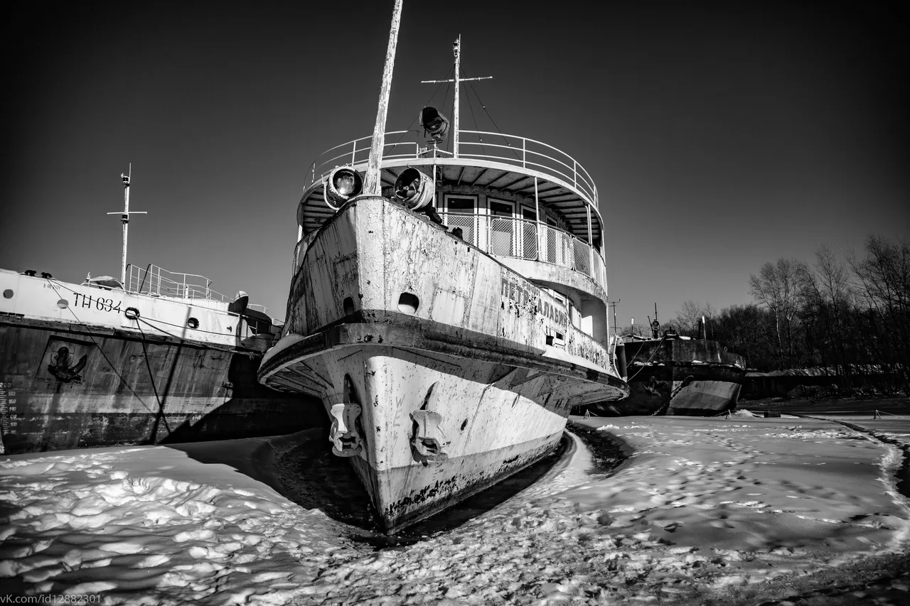 IMG_2497.jpg